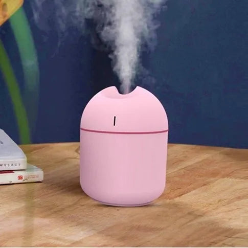 250ml. Humidifier with USB Output and Color Changing Light